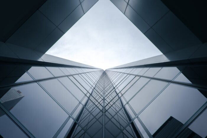 Vision